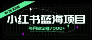 小红书蓝海项目，零门槛、高回报，每月稳定赚7000+-网创资源