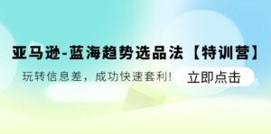 （11591期）亚马逊平台-瀚海发展趋势选款法【夏令营】：轻松玩信息不对称，取得成功迅速对冲套利!-网创资源