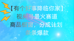 （11564期）有一个好事儿 来临你们家：微信视频号最红跑道，抖音商品橱窗，分为方案 一条条爆品，每…-网创资源