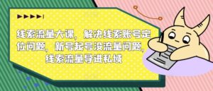 线索流量大课，解决线索账号定位问题，新号起号没流量问题，线索流量导进私域-网创资源