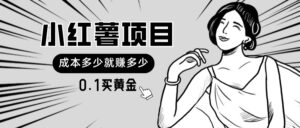 （11504期）小红书暴力行为新项目，0.1买黄金首饰。使用方便，日入无限制，可无限扩大。-网创资源