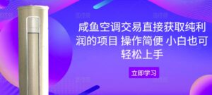 咸鱼空调交易直接获取纯利润的项目 操作简便 小白也可轻松上手-网创资源