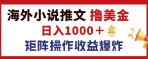 最新海外小说推文撸美金，日入1k+ 蓝海市场，矩阵放大收益爆炸-网创资源