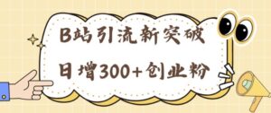 B站引流新突破：24年日增300+创业粉的高效攻略-网创资源