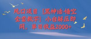 风口项目【黑神话-悟空全套教学】小白解压即用，单日收益2k-网创资源