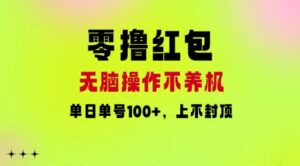 零撸红包：无脑操作不养机，单日单号100+，硬撸上不封顶-网创资源