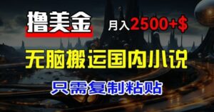 最新撸美金项目：搬运国内小说爽文，只需复制粘贴，月入2k+美金-网创资源