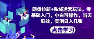 网盘拉新+私域运营玩法，零基础入门，小白可操作，当天见效-网创资源