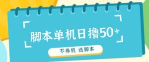 首码，0撸天花板不养机轻松日入100-500+ 送脚本-网创资源