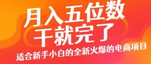 月入五位数，干就完了， 适合新手小白的全新火爆的电商项目-网创资源