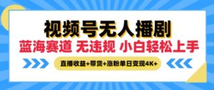 视频号无人播剧，无违规小白可上手，直播收益+带货+涨粉多重收益，单日收益4K-网创资源