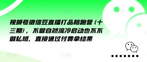 视频号微信豆直播打品陪跑营(十三期)，‮做不‬自‮流然‬冷‮动启‬也不不做私域，‮接直‬通‮付过‬费拿结果-网创资源
