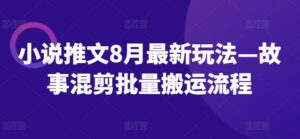 小说推文8月最新玩法—故事混剪批量搬运流程-网创资源