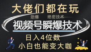 视频号瞬爆技术+直播玩法解析-网创资源
