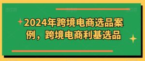 2024年跨境电商选品案例，跨境电商利基选品（更新）-网创资源