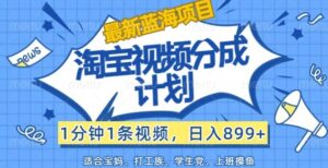 淘宝视频分成计划，1分钟1条视频，日入899+，有手就行-网创资源