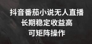 抖音番茄小说无人直播，长期稳定收益高，可矩阵操作【揭秘】-网创资源