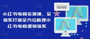 小红书电商实操课，全体系打造全方位梳理小红书电商逻辑体系-网创资源