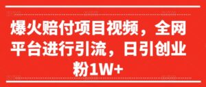 爆火赔付项目视频，全网平台进行引流，日引创业粉1W+【揭秘】-网创资源