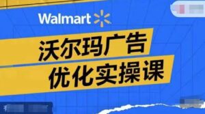 沃尔玛超市广告销售实操课，广告宣传汇报实际操作解读，广告宣传怎样提高转化ROAS等-网创资源