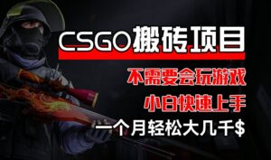 CSGO 装备搬砖项目，操作简单，不需要会玩游戏，小白也能快速上手，一个月轻松大几千【揭秘】-网创资源