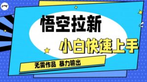 悟空拉新最新独家玩法，无需作品暴力出单，小白快速上手-网创资源