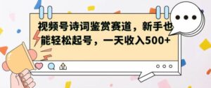 微信视频号跑道——古诗鉴赏，初学者都可以轻松养号，一天工资5张-网创资源