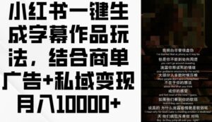 小红书的一键生成外挂字幕著作游戏玩法，融合商单广告宣传 私域变现月入1w 【揭密】-网创资源