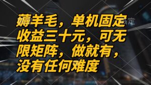 （13162期）薅羊毛项目，单机三十元，做就有，可无限矩阵 无任何难度-网创资源