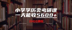 （12556期）小学学历卖考研课程，一天收5600（附3580G考研合集）-网创资源