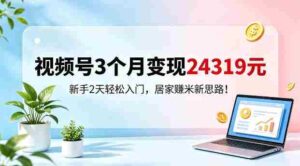 视频号3个月变现24319，新手2天轻松入门，居家賺米新思路【揭秘】-网创资源