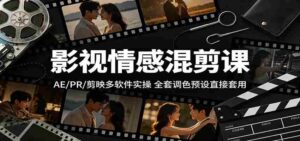 影视情感混剪课：AE/PR/剪映多软件实操，全套调色预设直接套用-网创资源