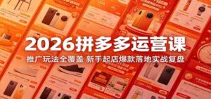 2026拼多多运营课：推广玩法全覆盖，新手起店爆款落地实战复盘-网创资源