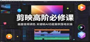 剪映高阶必修课：画面音频调色，关键帧AI功能案例落地实操-网创资源