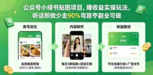 公众号小绿书贴图项目，赚收益实操玩法，听话照听话照少走90%弯路丨副业可做-网创资源