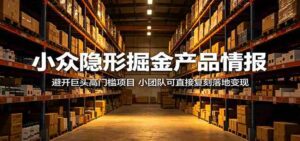 小众隐形掘金产品情报：避开巨头高门槛项目，小团队可直接复刻落地变现-网创资源