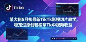 某大佬5月初最新TikTk影视切片教学，稳定过原创轻松拿Tk中视频收益-网创资源
