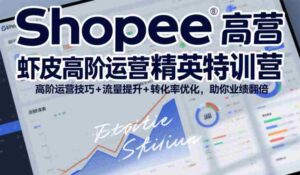 Shopee虾皮高阶运营精英特训营，高阶运营技巧+流量提升+转化率优化，助你业绩翻倍（更新26年5月）-网创资源