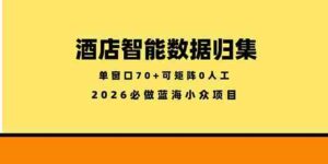 （18500期）酒店智能数据归集，小众蓝海已经稳定半年之久，单窗口70+零成本矩阵开干-网创资源