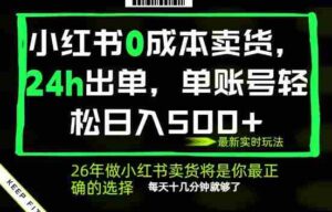 小红书0成本AI卖货，24小时出单，全流程托管，保底日入500+，每天十几分钟就够了【揭秘】-网创资源