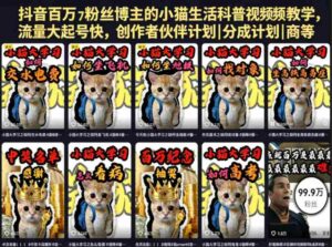 抖音百万粉丝博主的小猫生活科普视频教学，流量大起号快，创作者伙伴计划|分成计划|商单|收徒等-网创资源