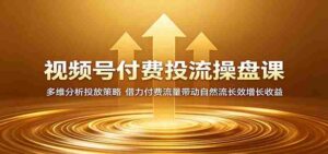 视频号付费投流操盘课：多维分析投放策略，借力付费流量带动自然流长效增长收益-网创资源