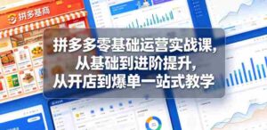 拼多多零基础运营实战课，从基础到进阶提升，从开店到爆单一站式教学-网创资源