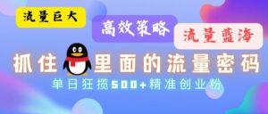 （13068期）流量蓝海，抓住QQ里面的流量密码！高效策略，单日狂揽500+精准创业粉-网创资源