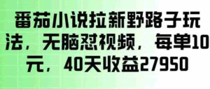 番茄小说拉新野路子玩法，无脑怼视频，玩法简单、见效快，每单10米，40天收益27950-网创资源