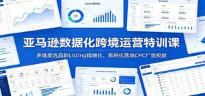 亚马逊数据化跨境运营特训课：多维度选品到Listing精细化，系统化落地CPC广告投放-网创资源