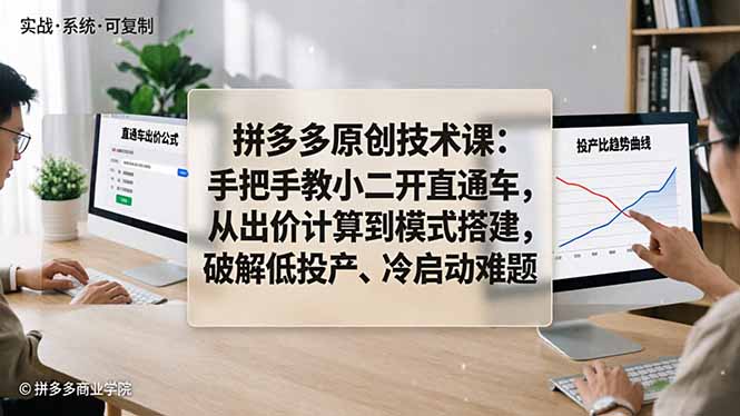 拼多多原创技术课：手把手教小二开直通车，从出价计算到模式搭建，破解低投产、冷启动难题-网创资源