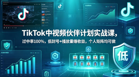 TikTok中视频伙伴计划实战课，过中率100%，低封号+播放量賺收益，个人矩阵均可做-网创资源