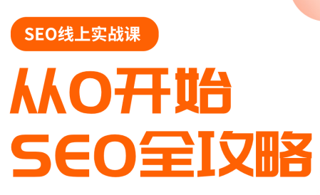 若凡老师·谷歌SEO实操课(更新)-网创资源