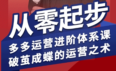 拼多多运营进阶系统课，从零起步，多多运营进阶体系课，破茧成蝶的运营之术(更新26年4月)-网创资源